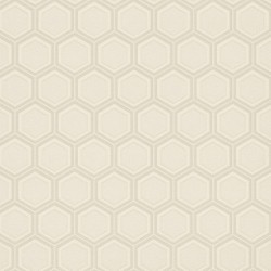 Обои Z76030 Zambaiti Vision 0.7x10.05