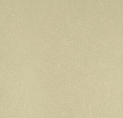 Обои Bernardo Bartalucci Legend 5068-43