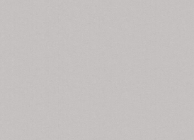 98813 Обои Marburg (Touch) (1*6) 10,05x1,06 винил на флизелине